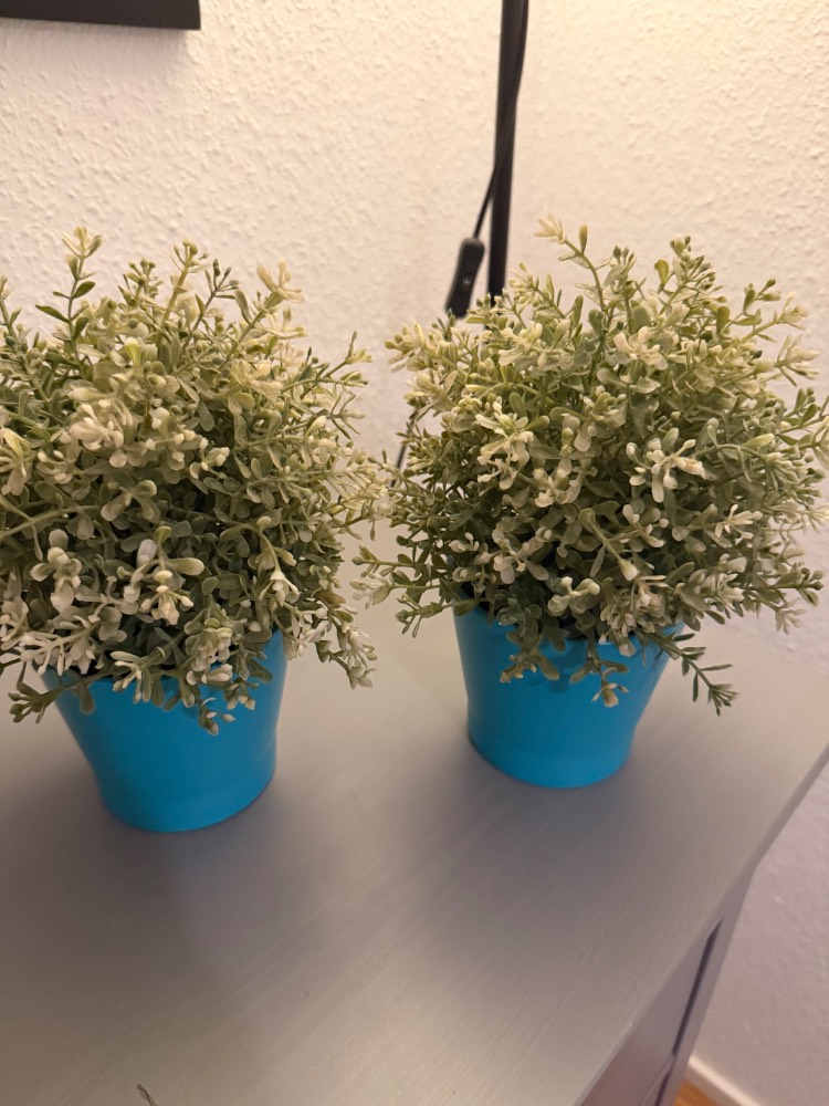 Zwei künstliche Pflanzen in blauen Töpfen